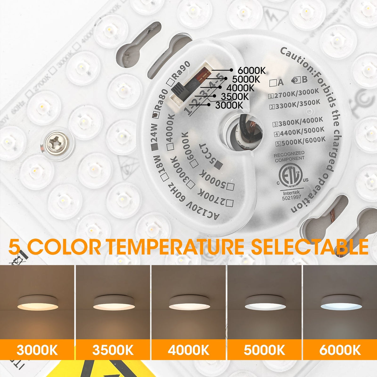 Minimalist 5CCT Dimmable LED Round Flush Mount Light